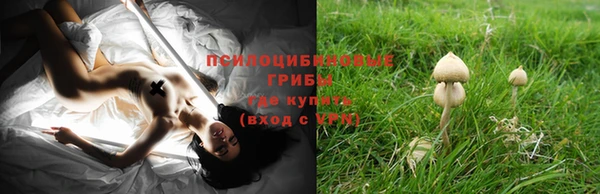прущий лед Горнозаводск
