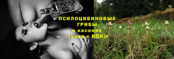 марки lsd Горно-Алтайск