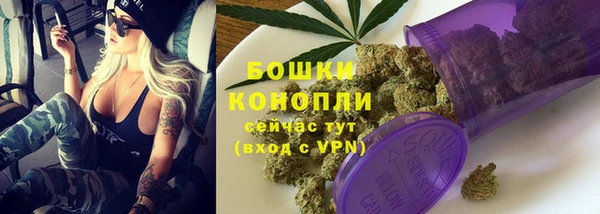 дурь Заводоуковск
