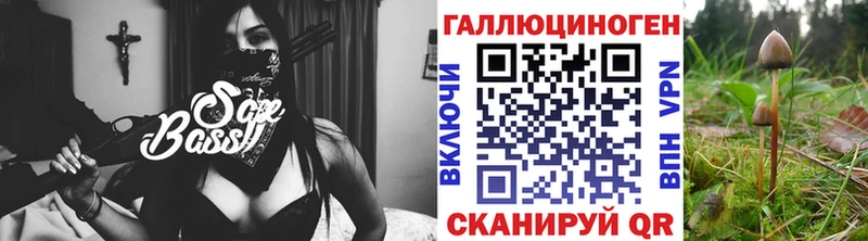 Купить  Очёр  Псилоцибиновые грибы мицелий 